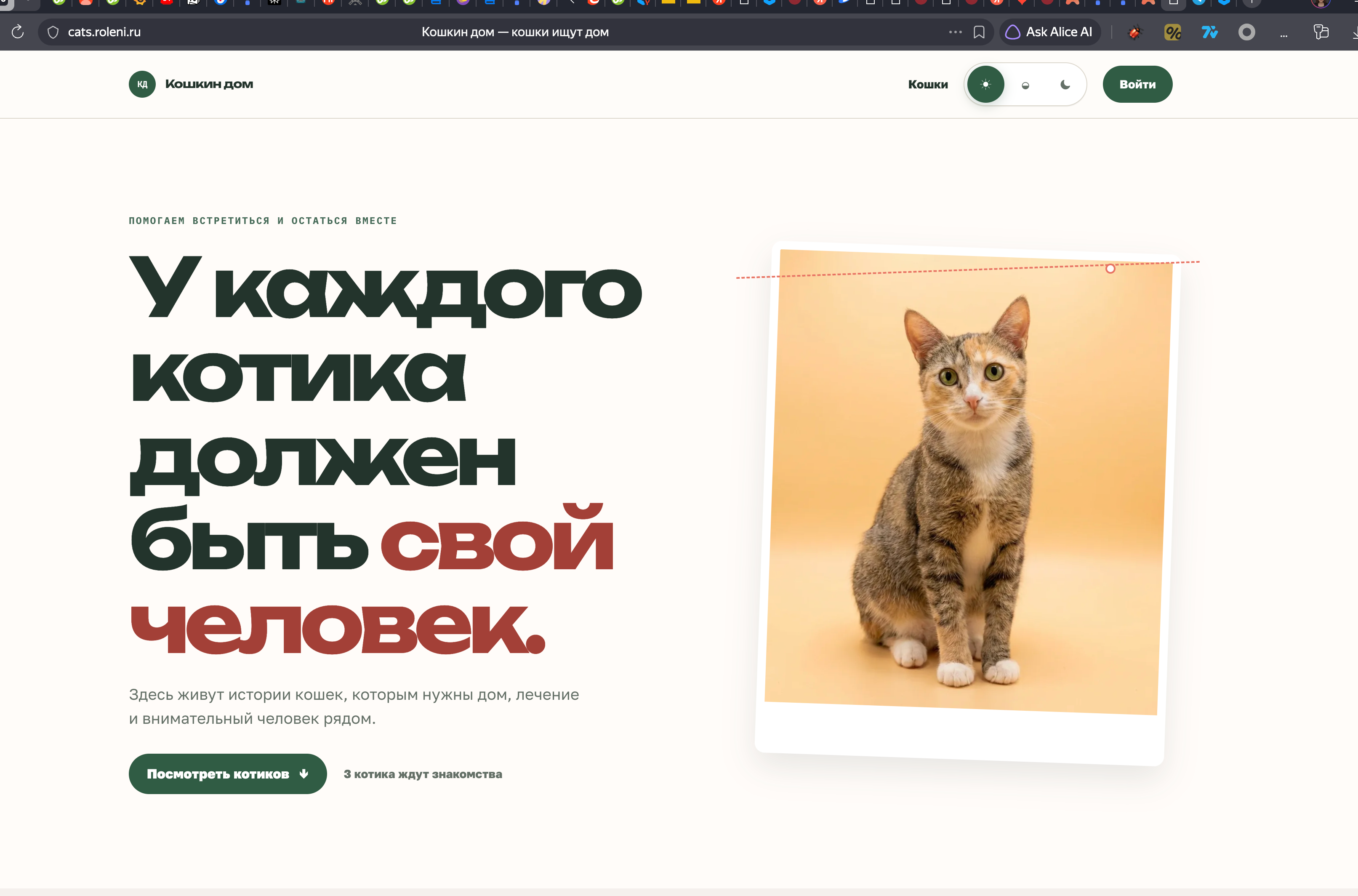 Главная страница Кошкиного дома с заголовком сервиса и фотографией кошки